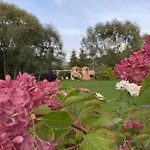 Stodola Sauna W Cenie Séjour chez l'habitant Stronie Śląskie