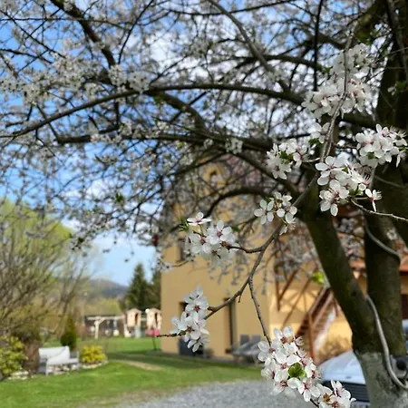 Pansiyon Stodola Sauna W Cenie Stronie Śląskie