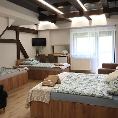 בית אירוח Stodola Sauna W Cenie *