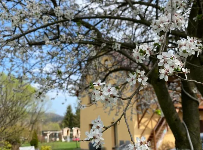 Проживание в семье Stodola Sauna W Cenie Строне-Слёнске